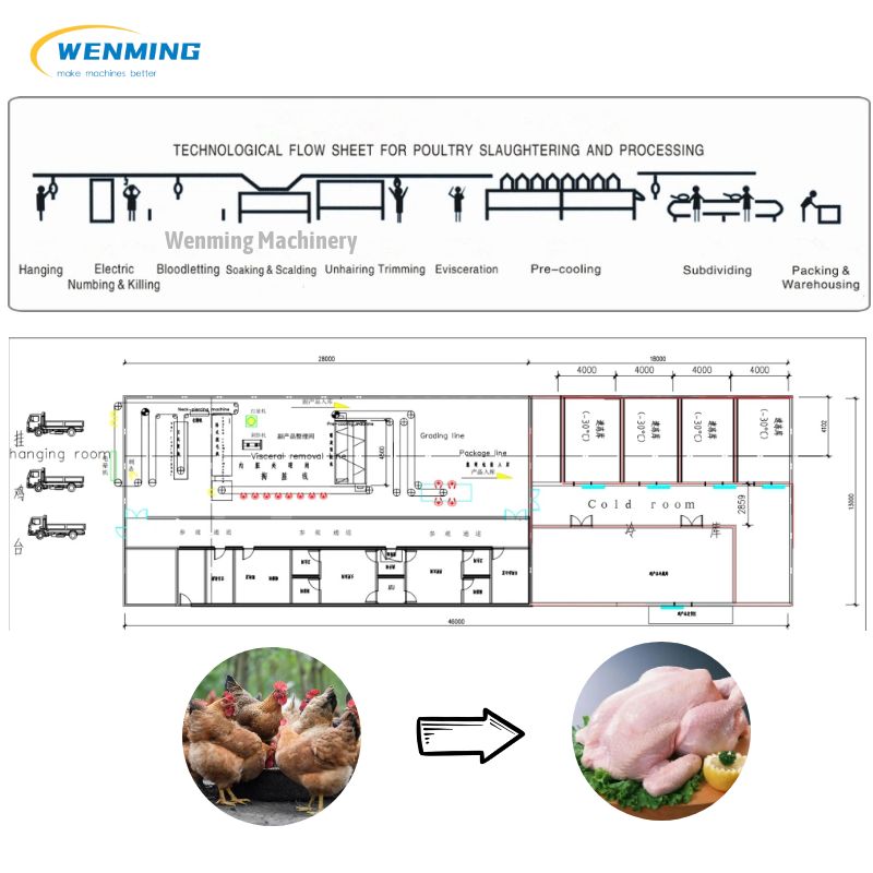 Poultry Processing Line