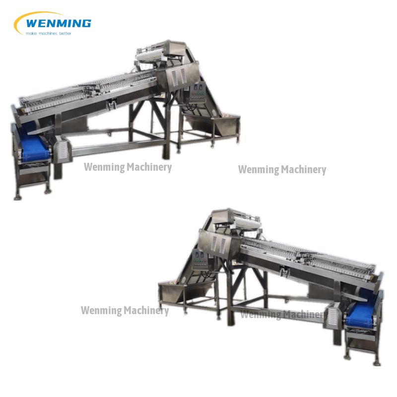 Shrimp Peeling Equipment