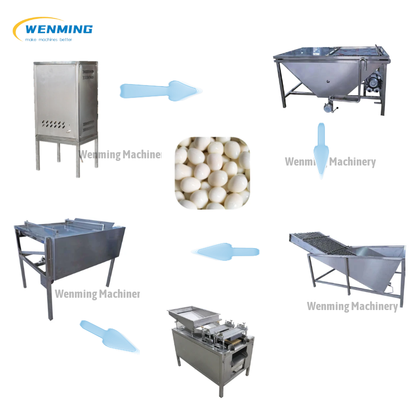 Quail Egg Boiling Machine