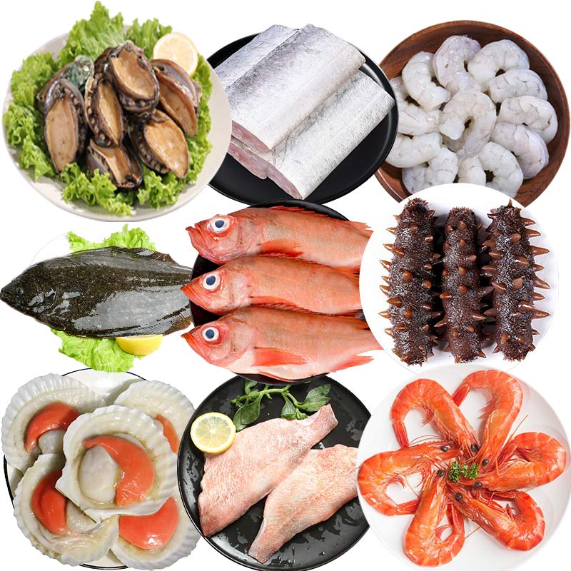 Blast Chiller Freezer