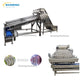 Shrimp Peeling Equipment