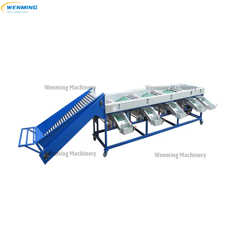 Avocado Onion Classifying Sorting Machine