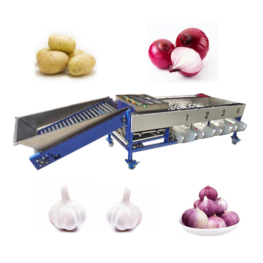  Garlic Onion Separating Sorting Classifying Machine