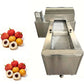 Lychee Longan Pitter Machine 