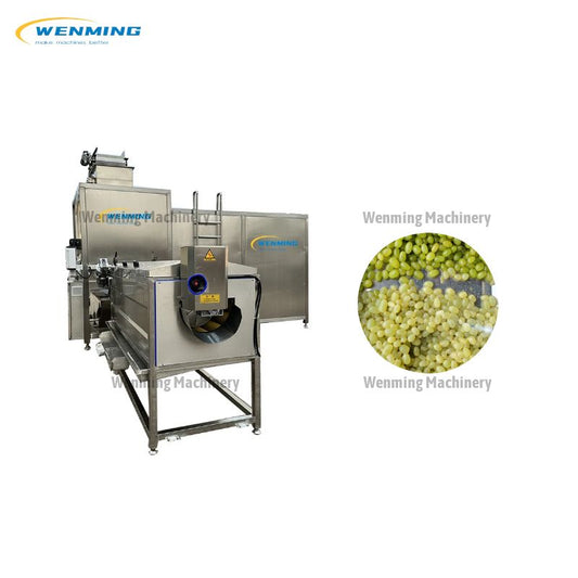 Mango Steam Peeling Machine