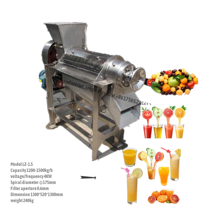 ginger juicer extractor machine