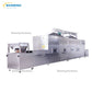 continuous microwave dryer