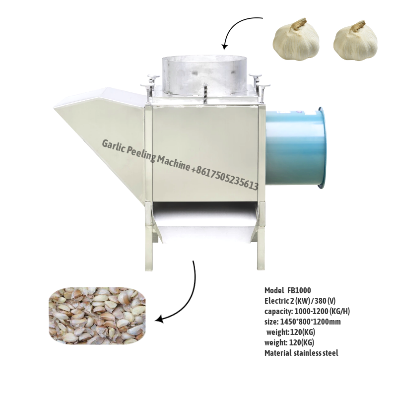 Garlic Splitting Machine