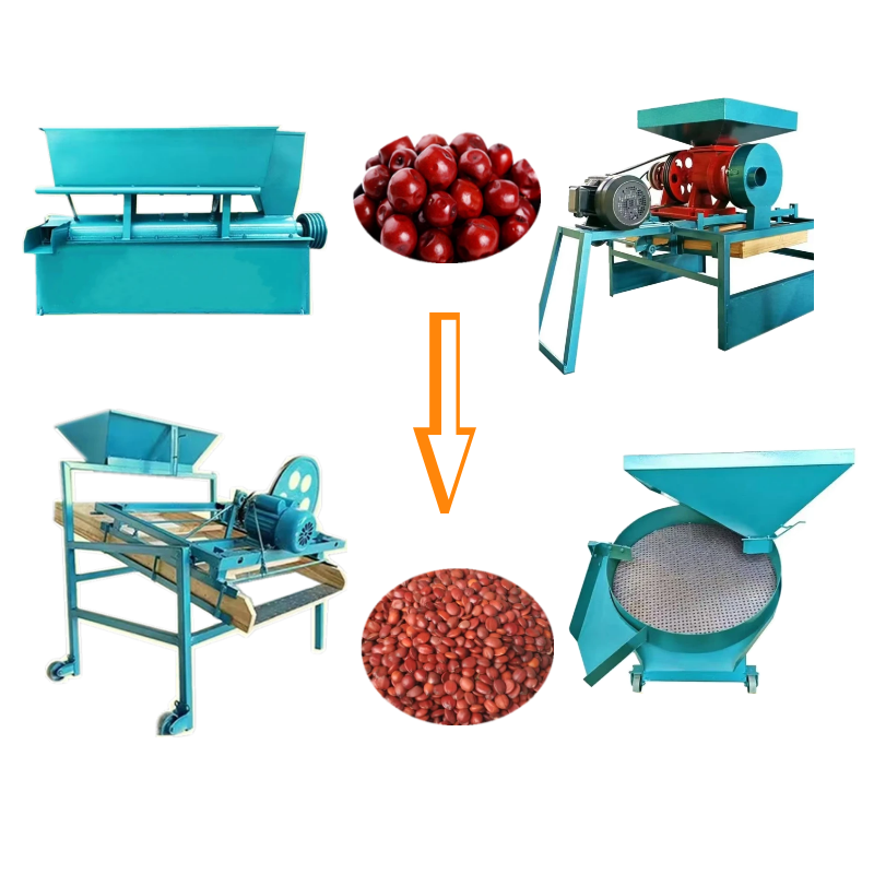 Jujube Cleaning Machine