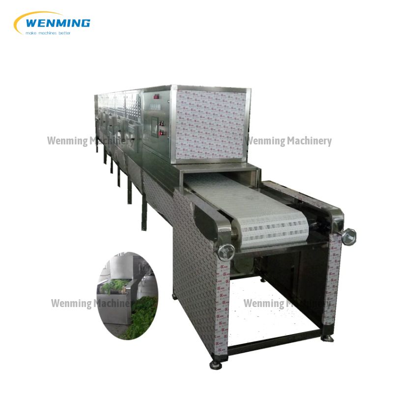 continuous microwave dryer