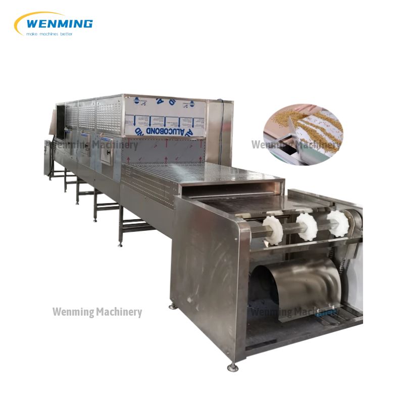 continuous microwave dryer