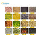 Screw Press Oil Extraction