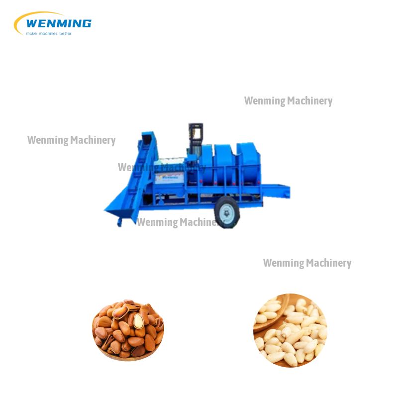 Nuts Pine Nuts Sheller