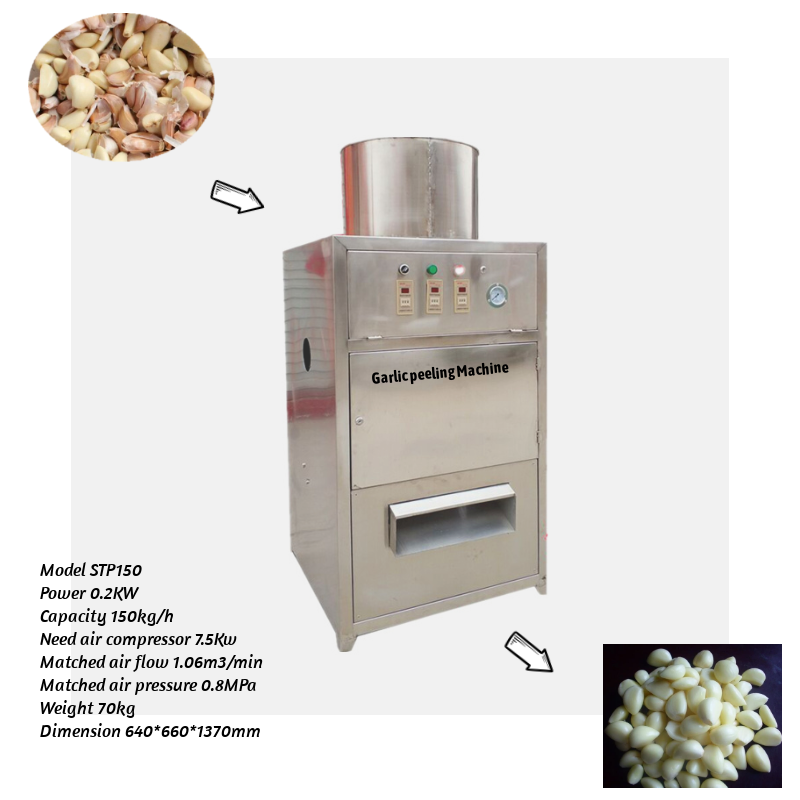 Garlic Skin Remover Machine