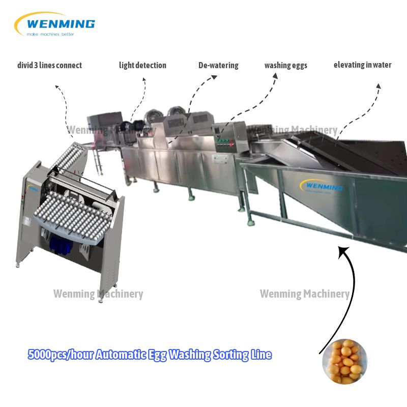 Egg Washing-Sorting-Production Line