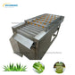 Aloe Vear Machine Washing Machine 