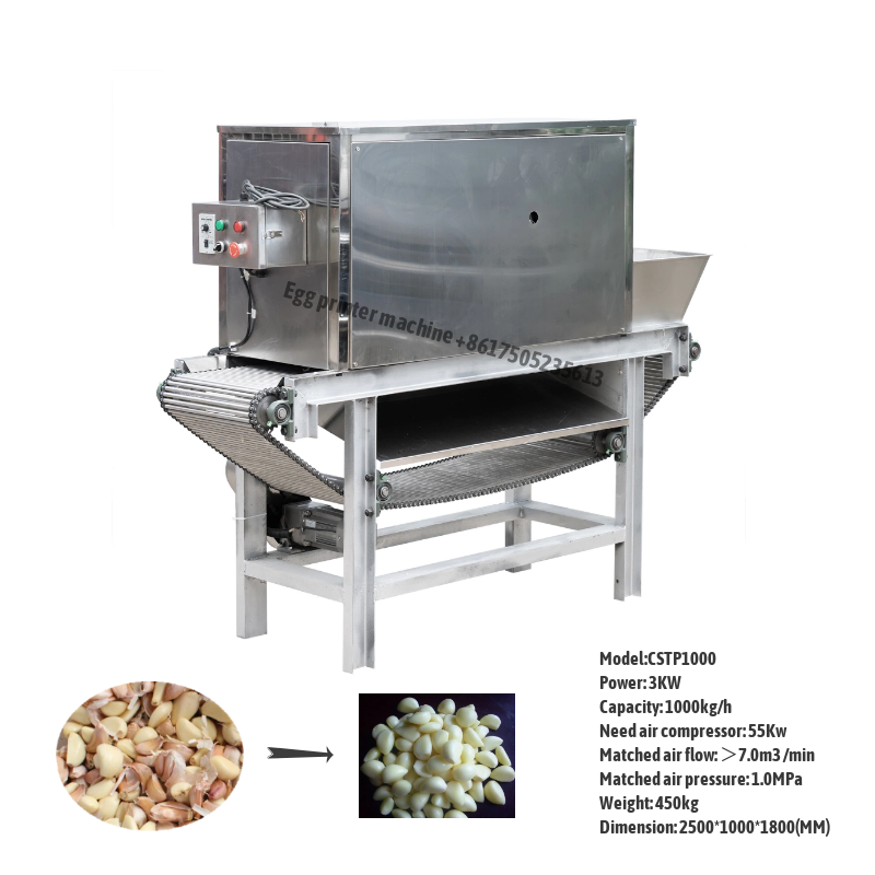 Garlic Peeling Machine