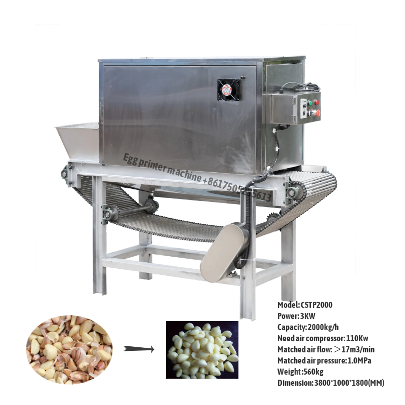 Chain type Garlic Peeling machine