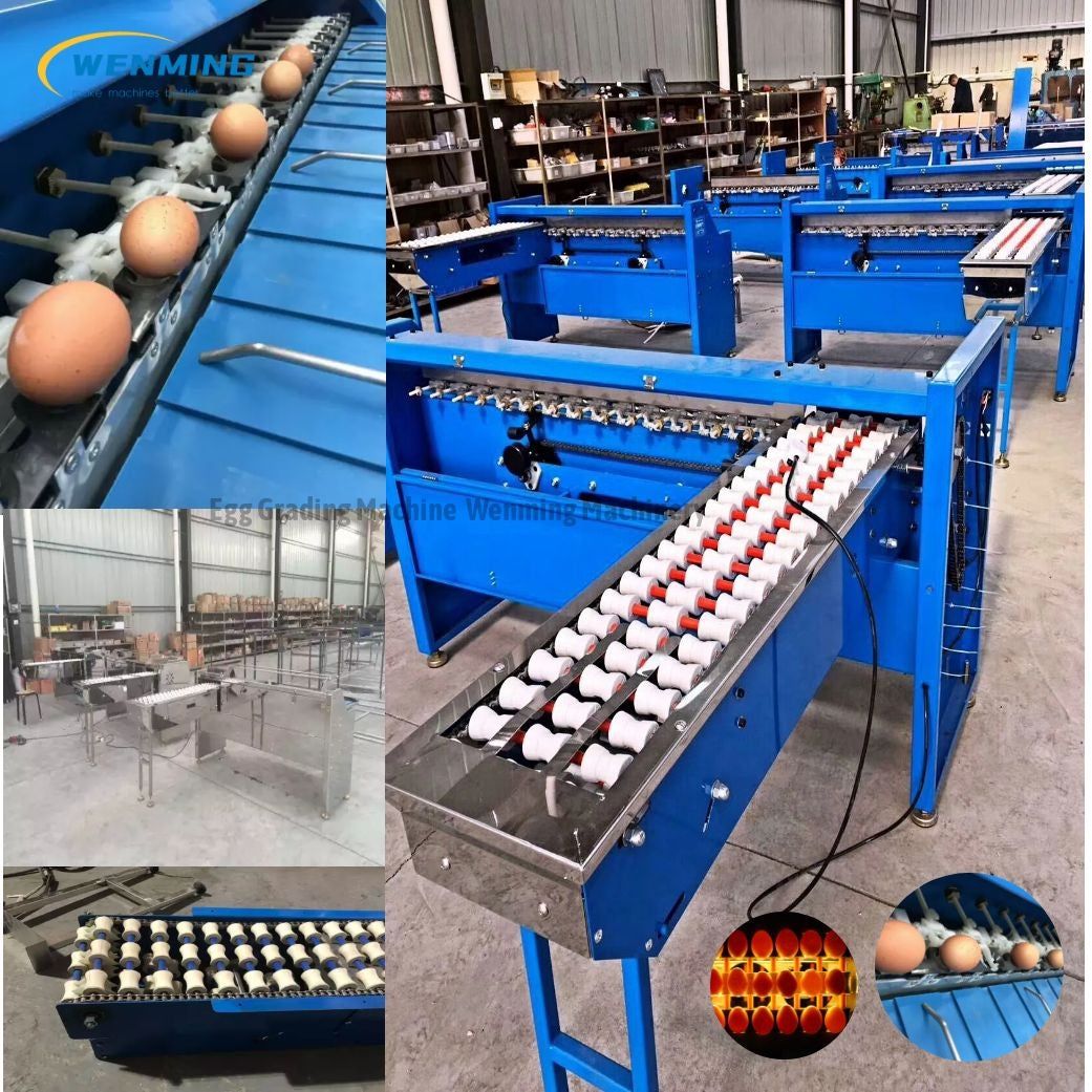 Chicken-egg-soring-machine