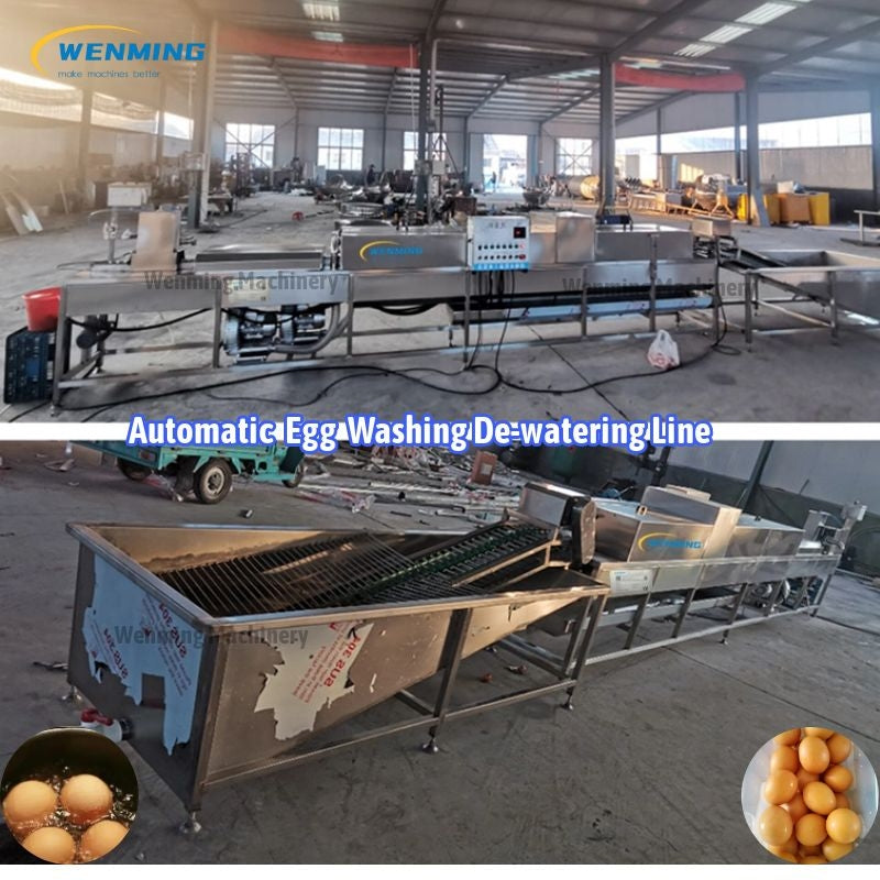 Egg-Processing-Line-egg-washing