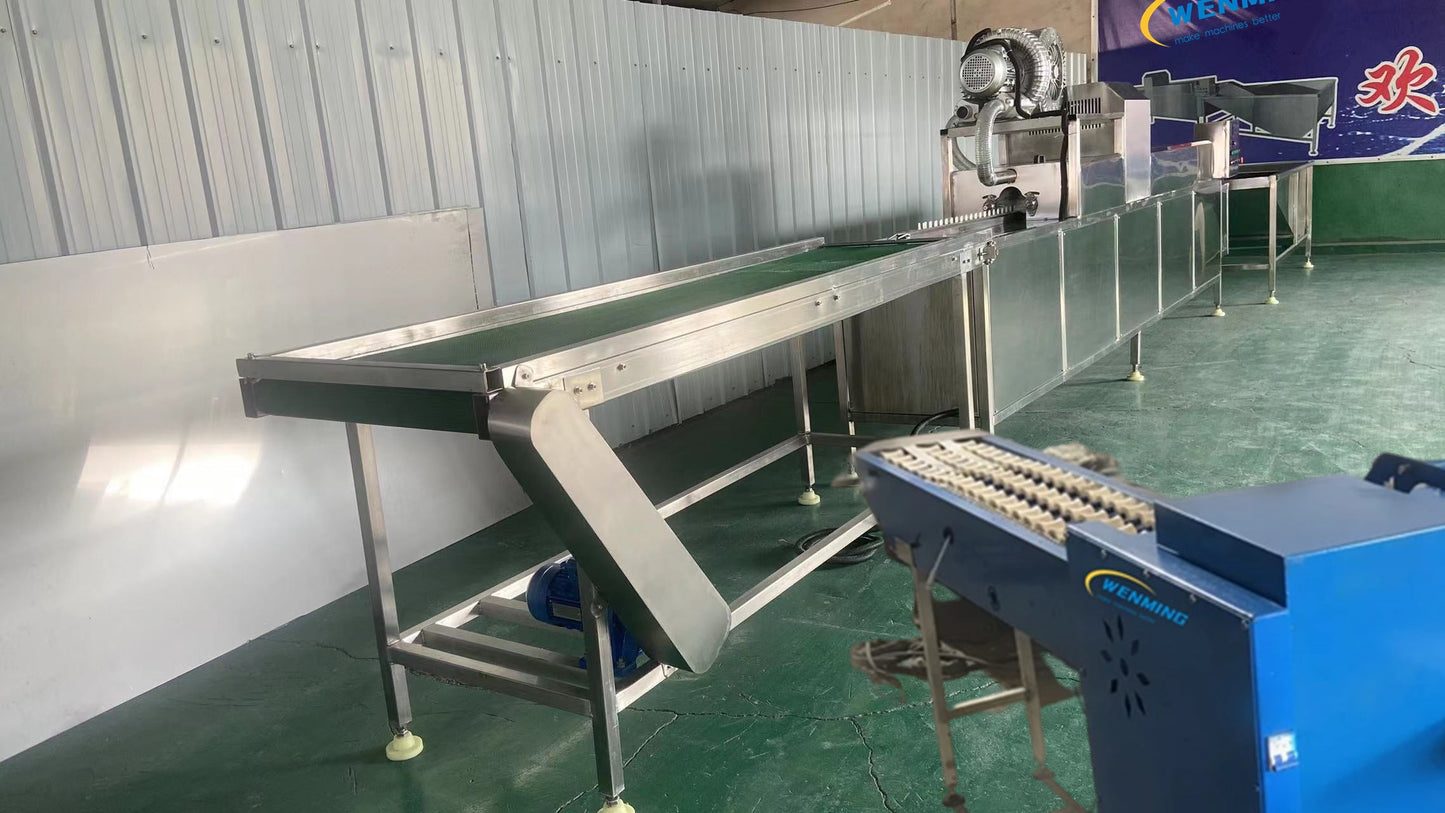 Egg-Washing-Grading-Machines