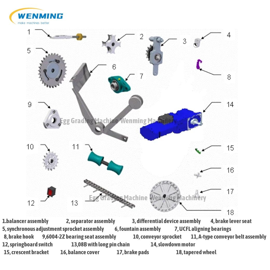 Egg Grading Machine