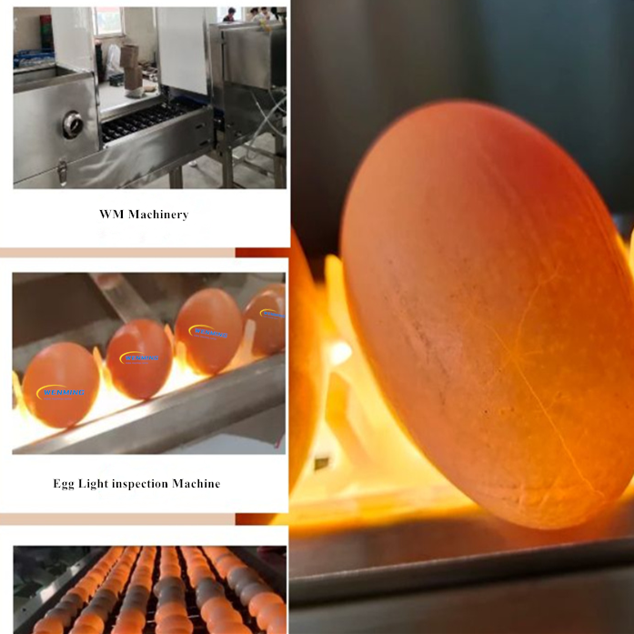 Commercial egg machine entrepreneur cracks market with 60 second