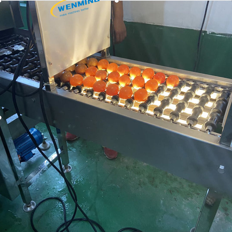 Egg Quality Detection Systems