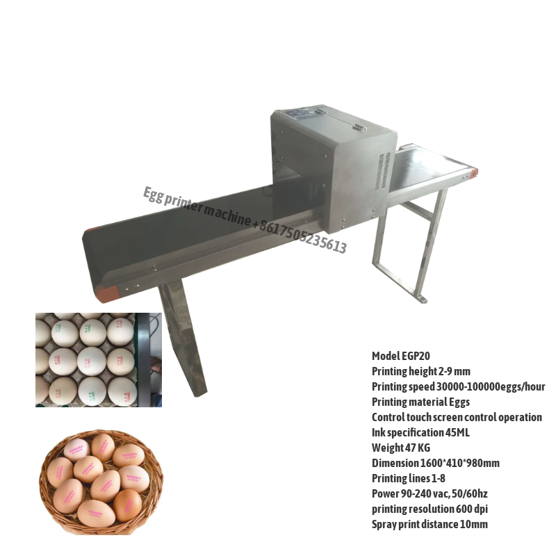 Egg Printing Machine