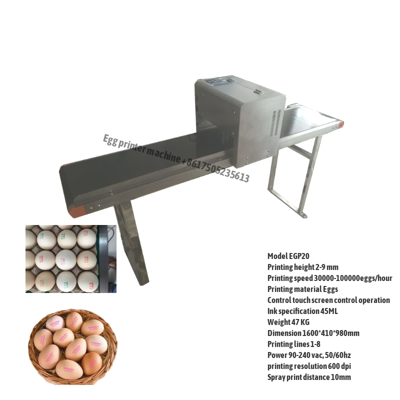Automatic Egg Washer Machine 2000pcs per hour Wenming Machinery – WM  machinery