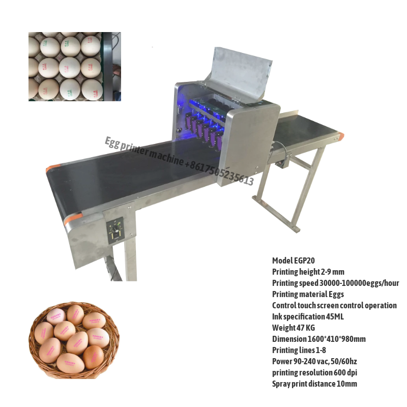 Egg Printing Machine