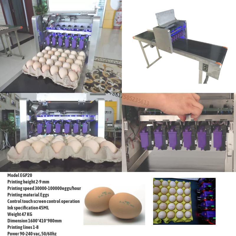 Egg Printing Machine