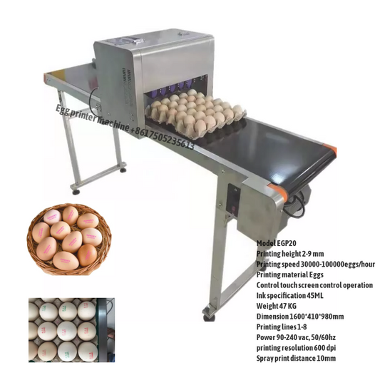 Egg Printing Machine