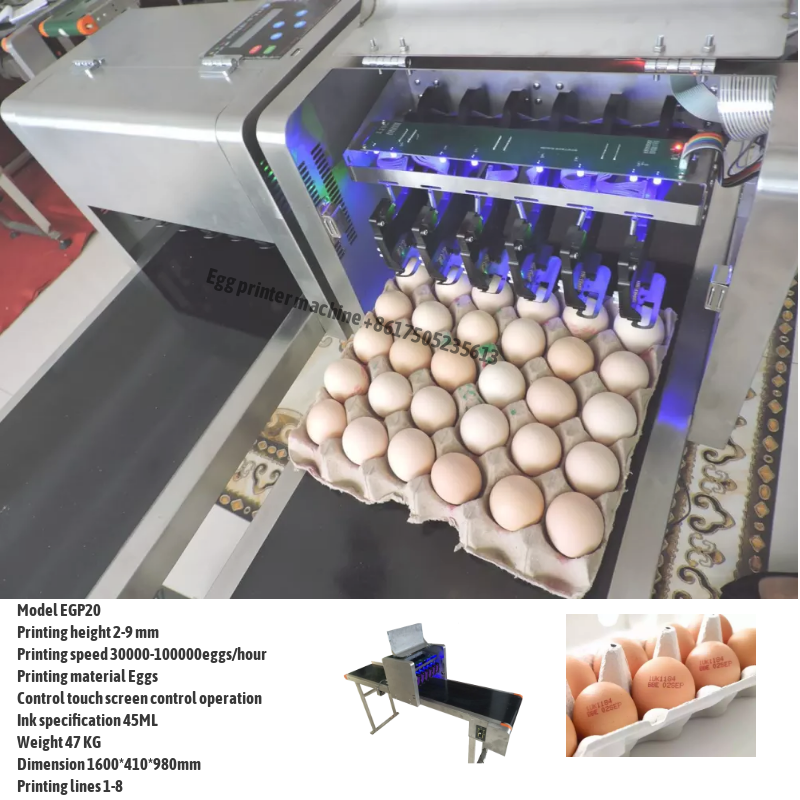 Printing Machines on Eggs Egg Date Printer Egg Stamping Machine - China  Printing Machines on Eggs, Egg Date Printer