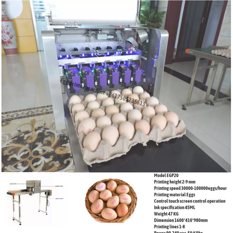 Egg-printing-machine