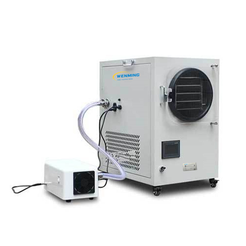 Small Freeze Drying Machine Vacuum Lyophilizer Vegetable fruit