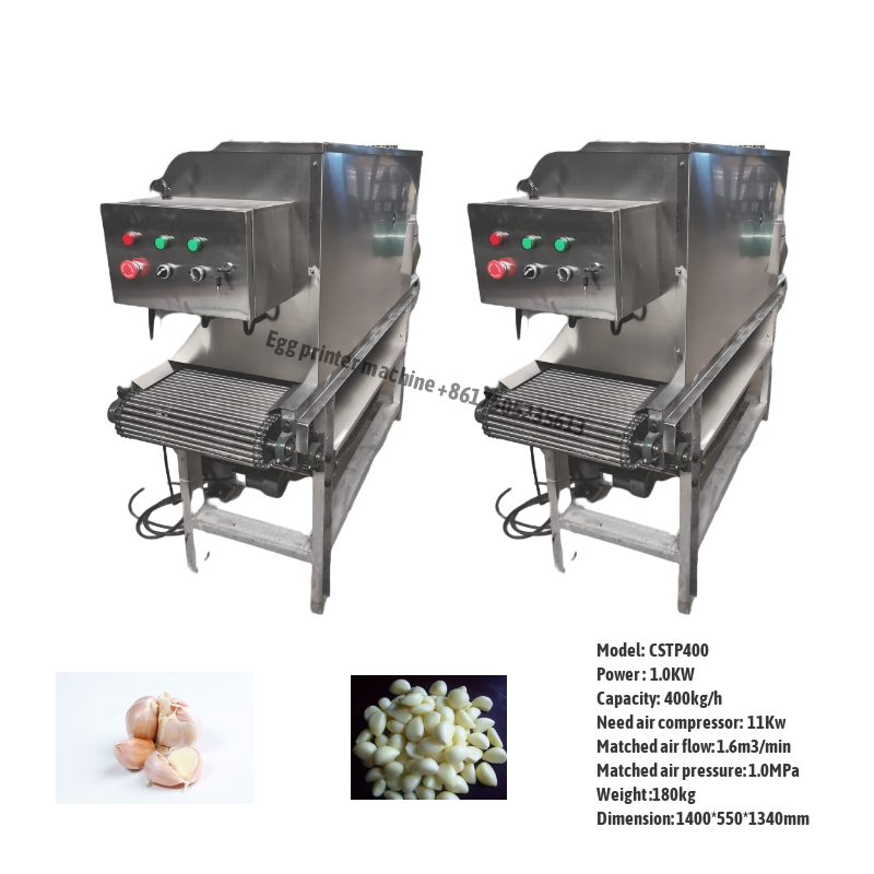 Garlic Peeling Machine