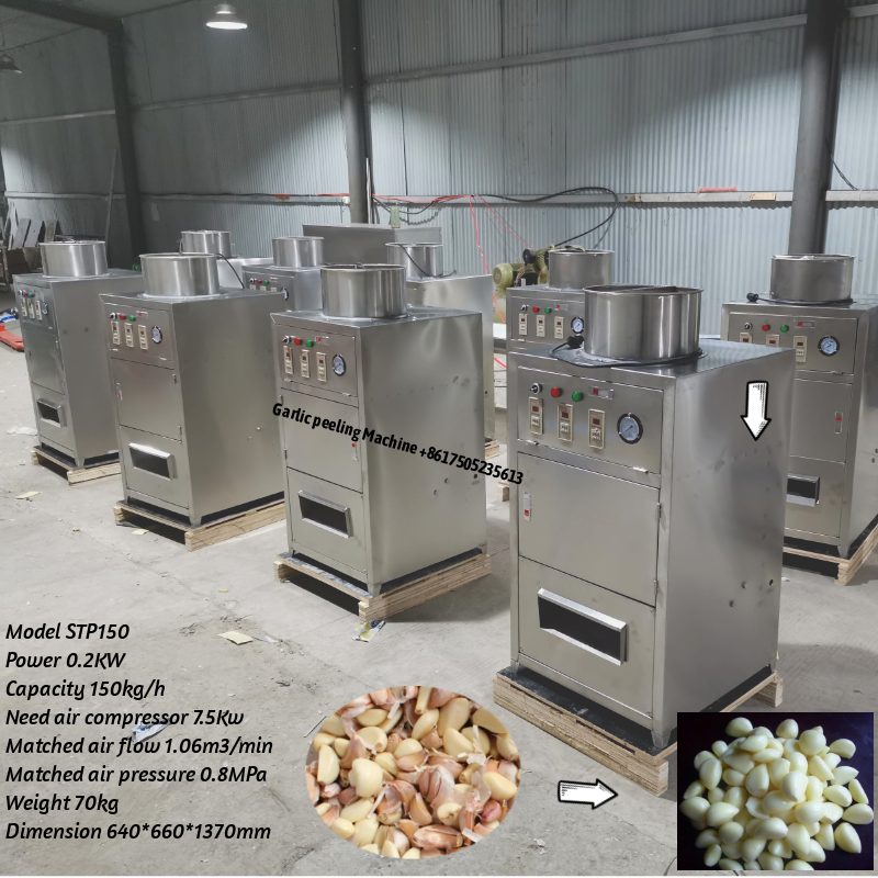 garlic peeling machine