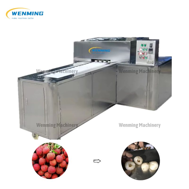 Litchi Seed Removing Machine