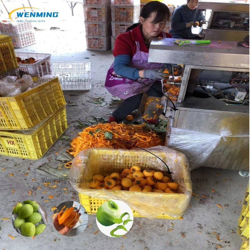 Melon Peeling Machine