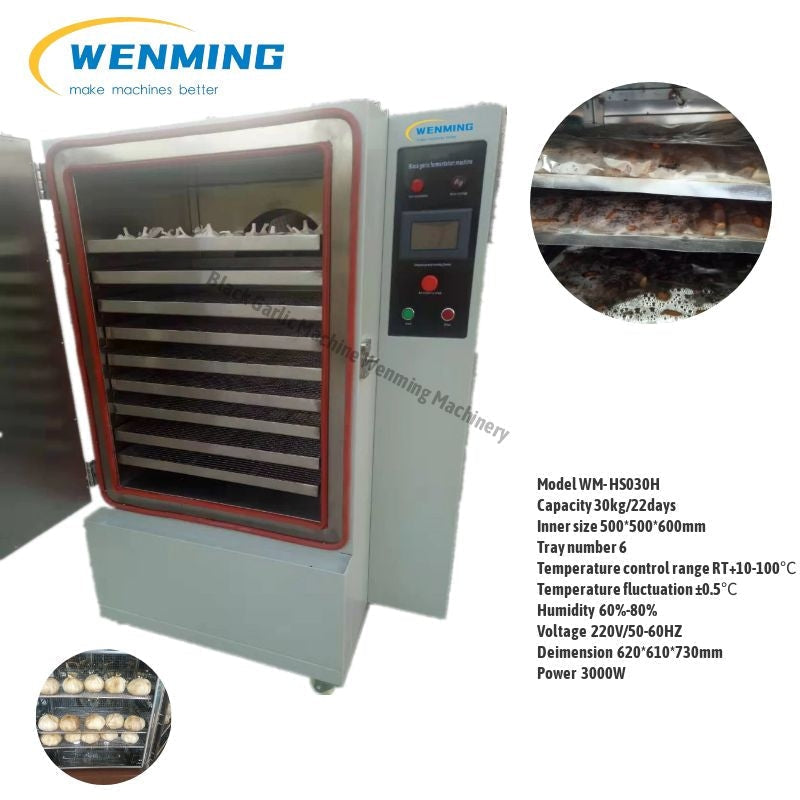 Garlic Fermentation Plant Machinery