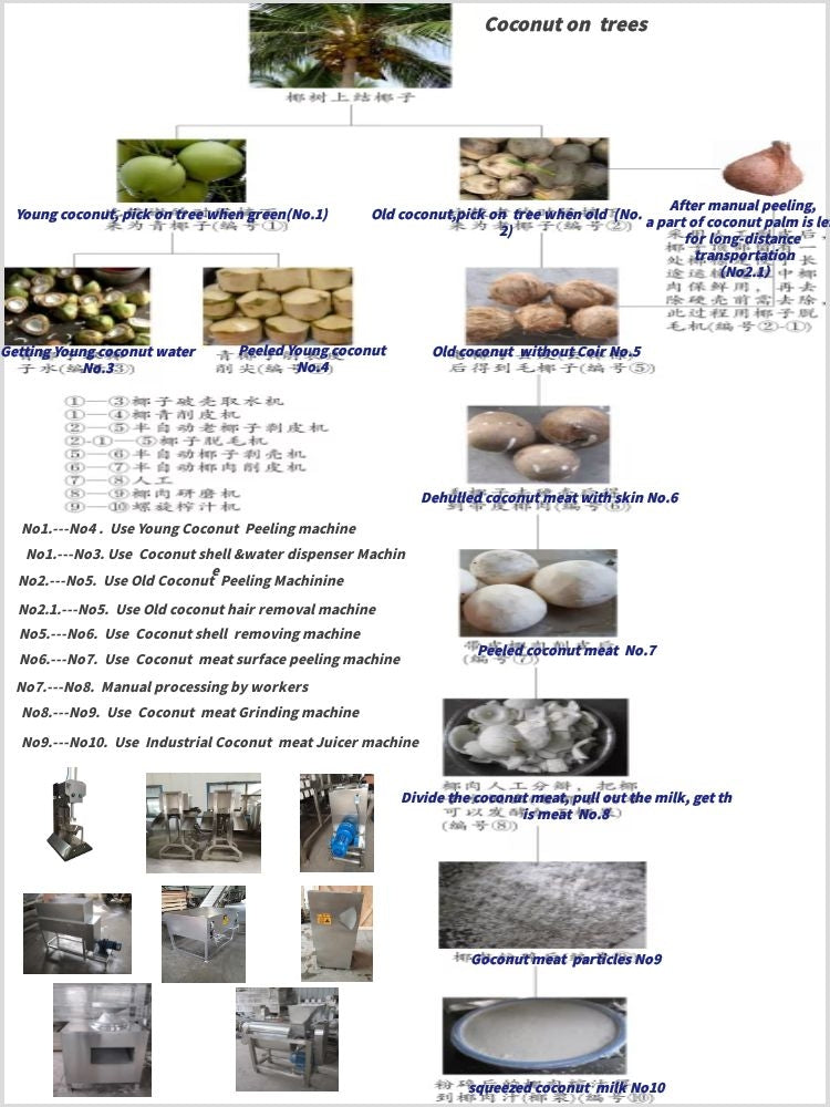 coconut-Processing-machine