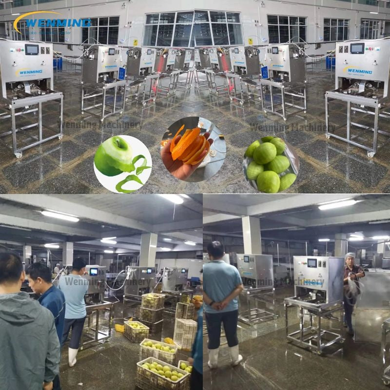 Fruit Peeling Machine 