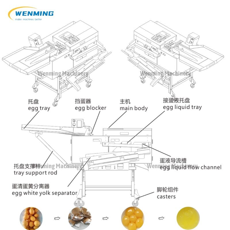 Yolk Separator