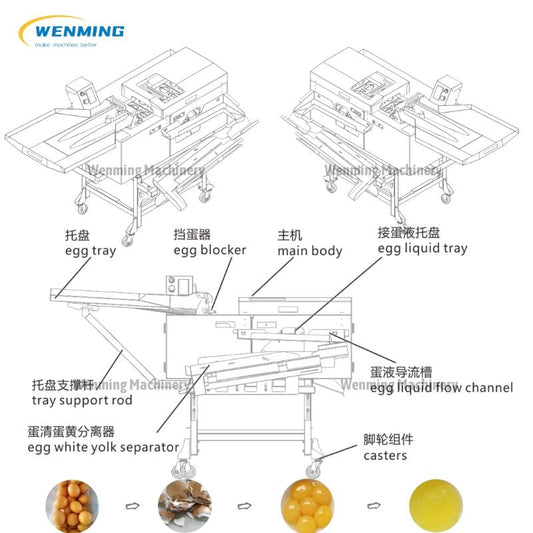 Egg Yolk Separator Chicken