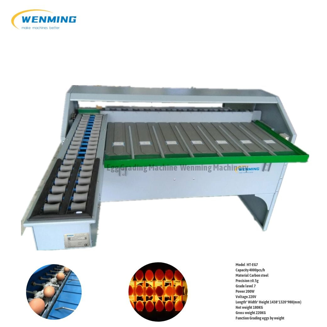 Egg Sorting Machine