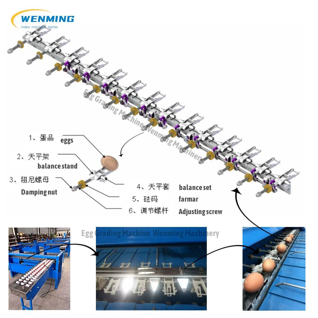 Small Egg Grading Machine