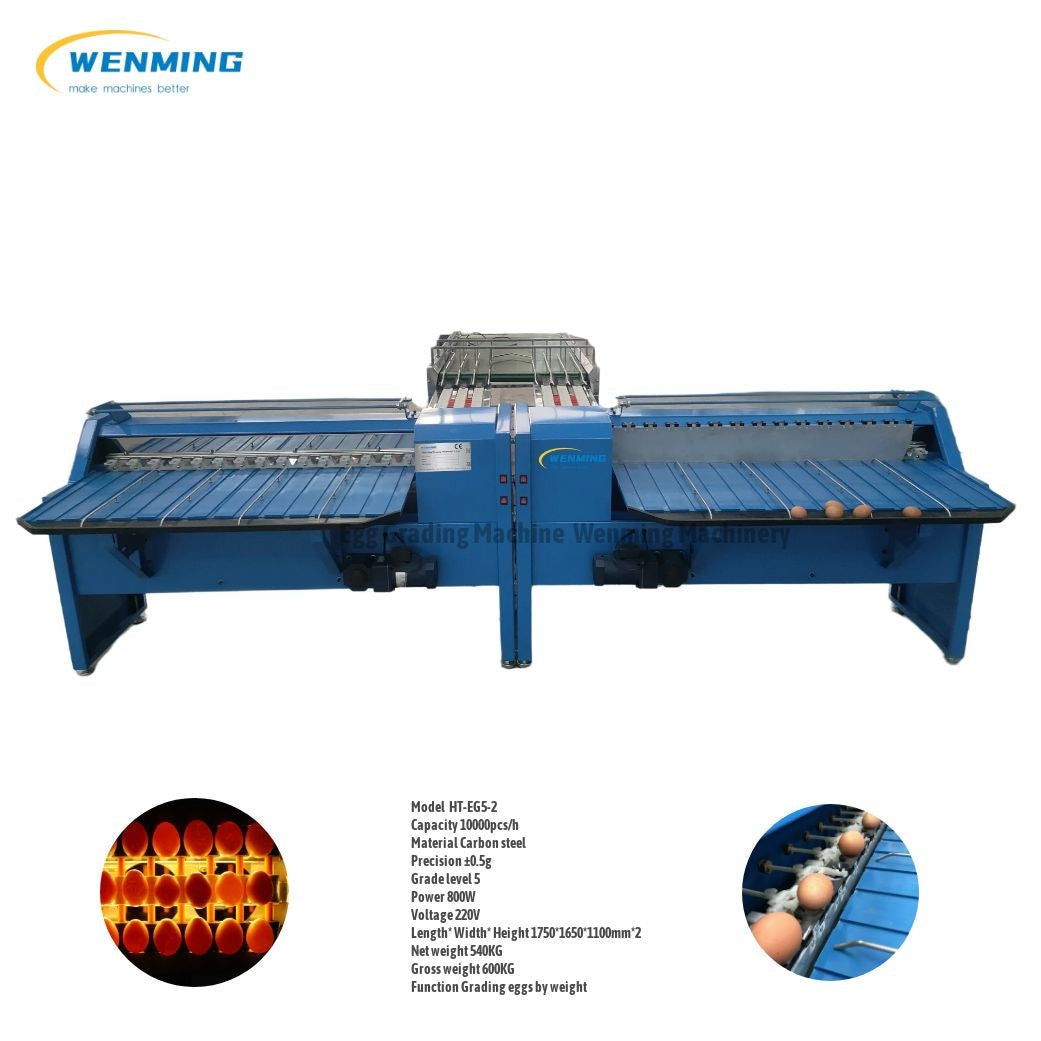 Egg Grading Machine