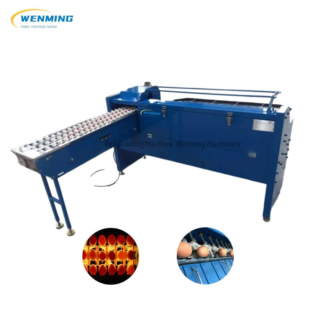 Egg Grading Equipment