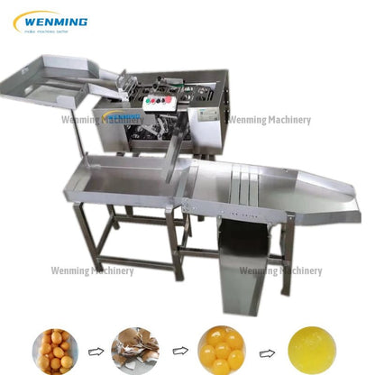 Egg Breaking Machine Separation